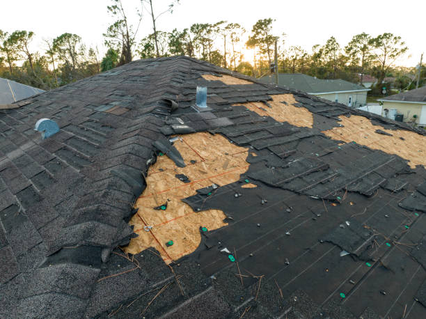 Best Roof Leak Repair  in Mascoutah, IL